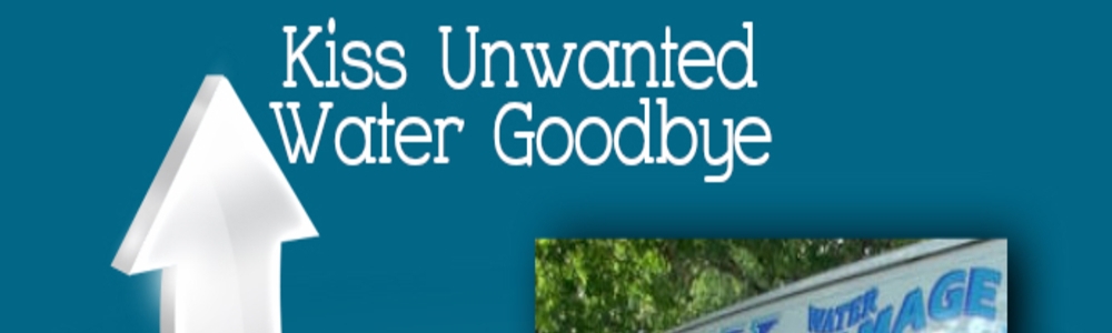 User banner image