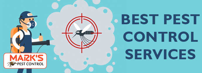 Pest Control Sydney