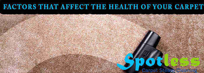 Carpet Cleaning Services Perth