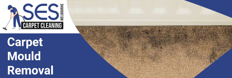 Carpet Mould Removal