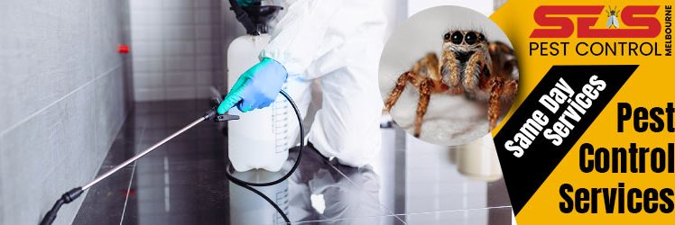 Pest Control Services 748x250 1