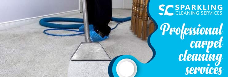 Professional Carpet Cleaning Perth