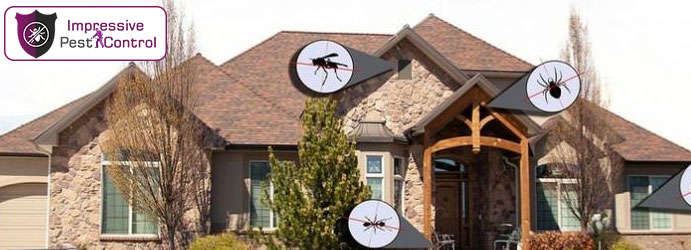 Residential Pest Control Brisbane 3