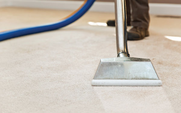 Same Day Carpet Cleaning Perth