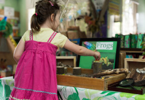 early learning centre Ringwood Choklits Child Care
