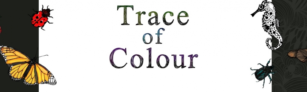 User banner image