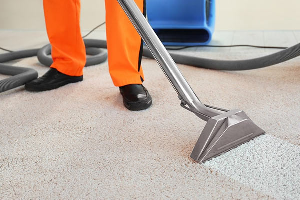 Carpet Cleaning Copy Copy 1