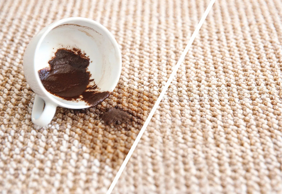 Carpet Stain Removal