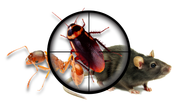 Impressive Pest Control