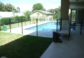 Pool Fences