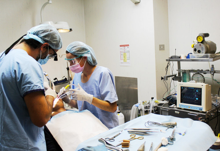 oralsurgeons1