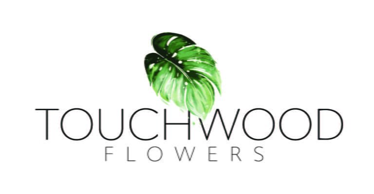 1576643468 TOUCHWOOD MAINlogomedium 768x400
