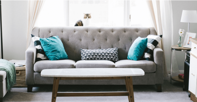 banner 1 768x399