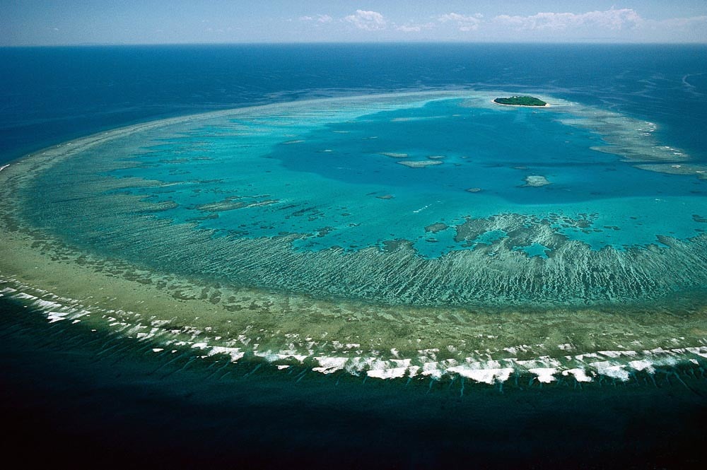 Great Barrier Reef Reef Population