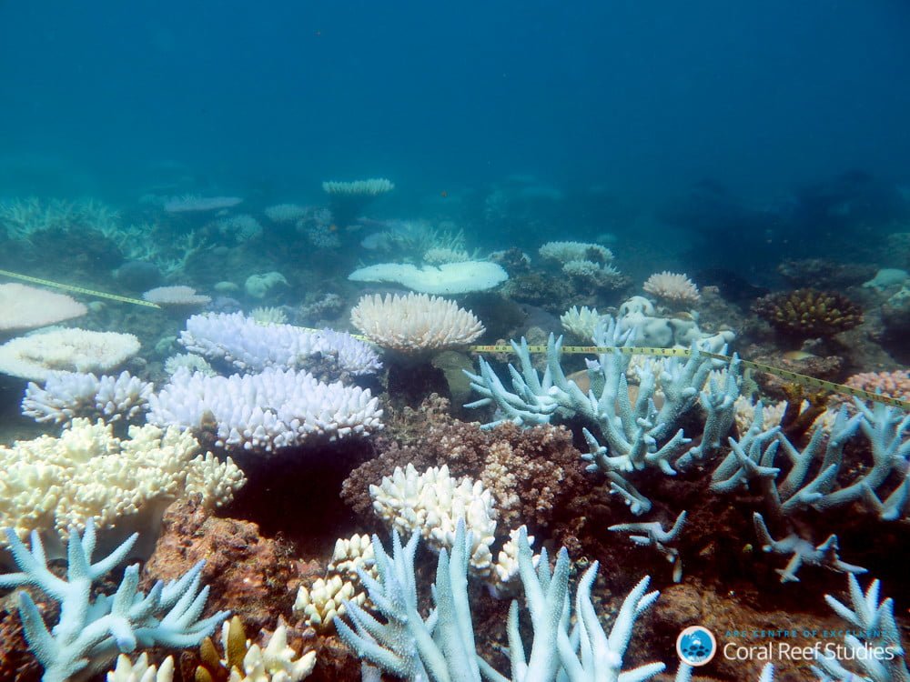 Great Barrier Reef Natural Threats