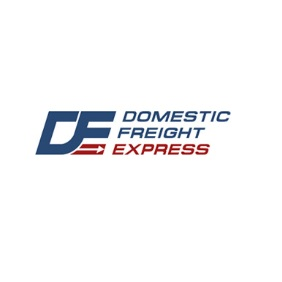 Dfe Group logo 1
