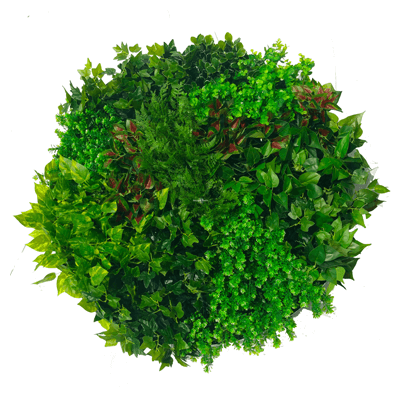 green wall disks