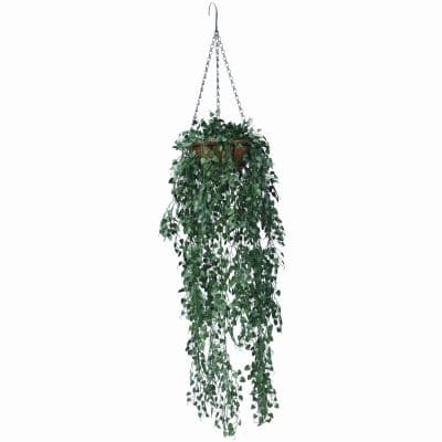 hanging baskets