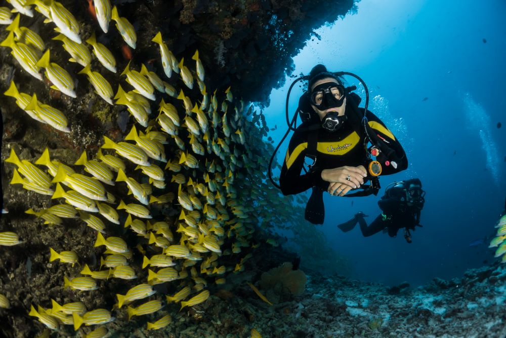 Great Barrier Reef popular activities​