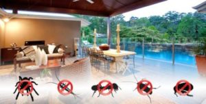 COMMERCIAL PEST CONTROL BRISBANE