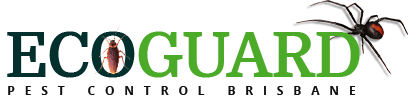 Eco Guard Pest Control Logo