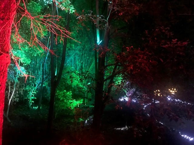 fairy lights australia 1
