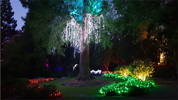 fairy lights australia 4