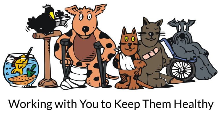 fivewaysvet logo 1 768x400