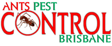 logo 8