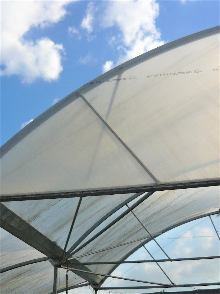 TNN Engineering commercial greenhouse frames