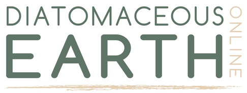 website logo