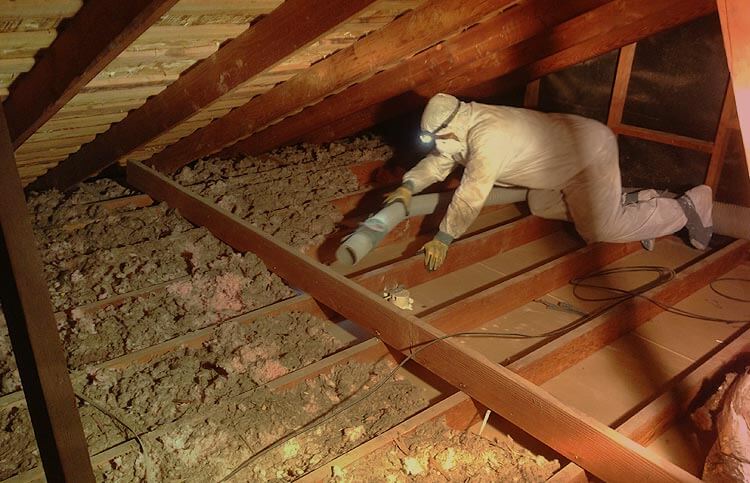 Insulation Removal Melbourne Insulation Removal Melbourne