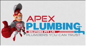 Apex Plumbing Services