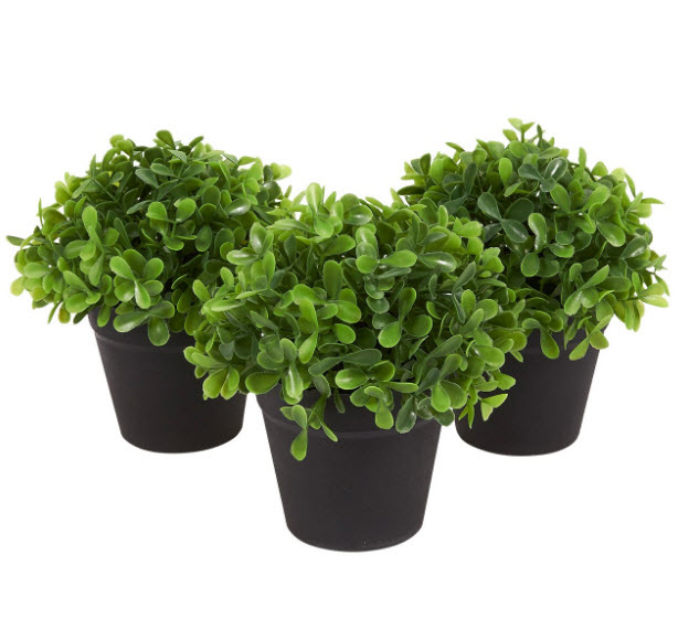 Artificial plants Sydney...