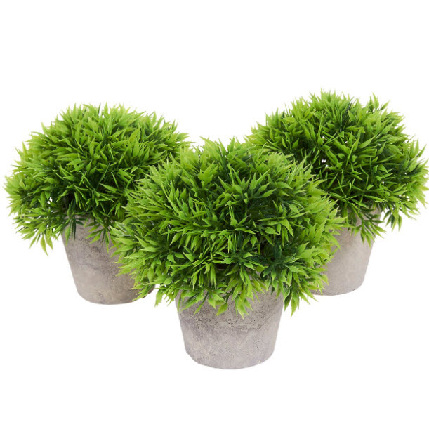 Artificial plants Sydney