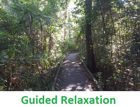 Guided Relaxation
