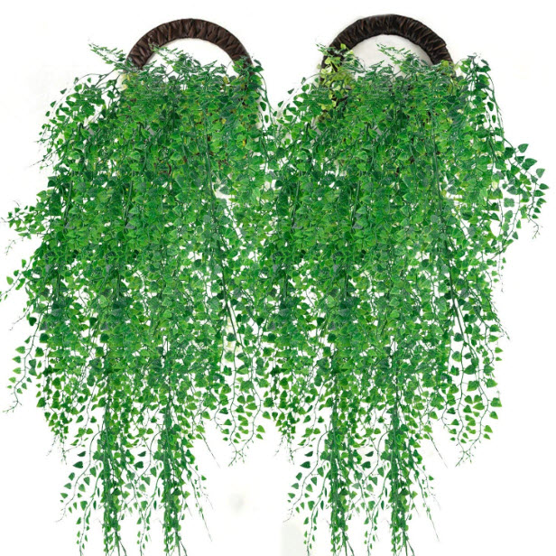Wall hanging plant.