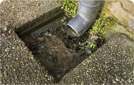 blocked drains