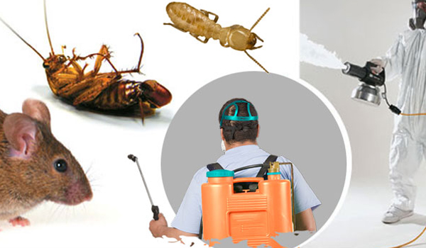 pest control services