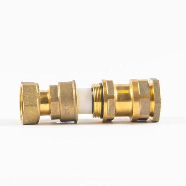 DUAL CHECK VALVES