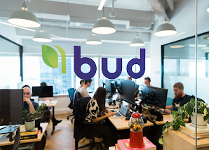 bud office small
