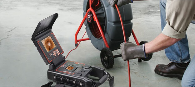 Pest Control Balmain