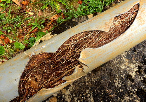 Unblock Outside Drain Damaged Pipes