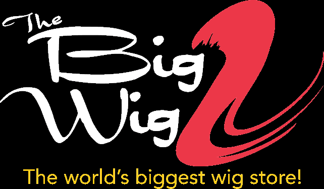 website logo