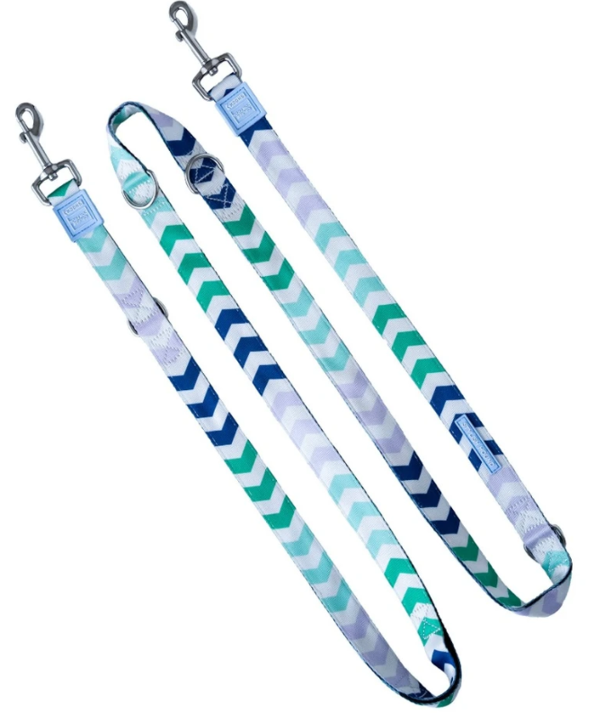 Atlantis 6in 1 Multi Function Leash