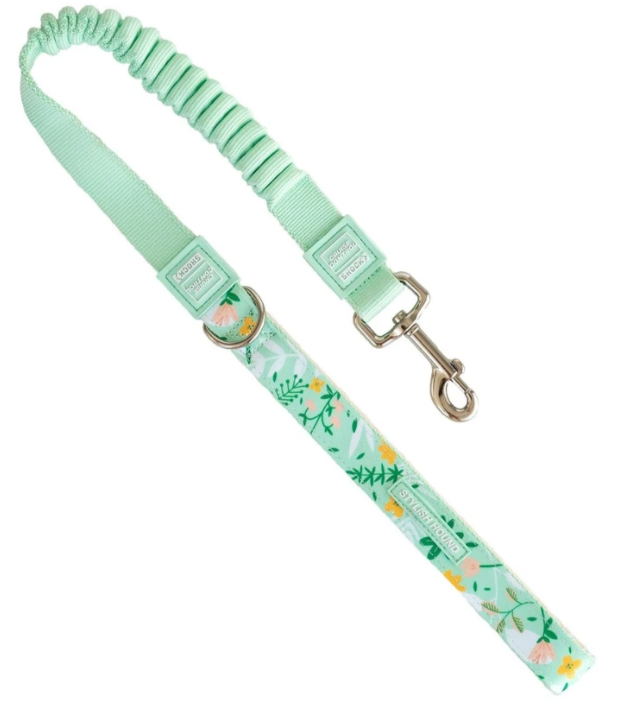 Flora Cruise Control Obedience Leash