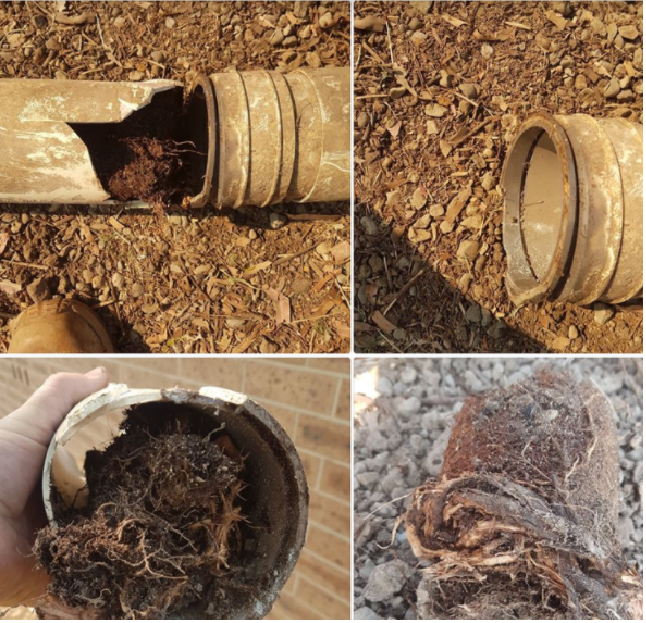 blocked drains causes