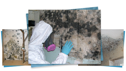 mould img1