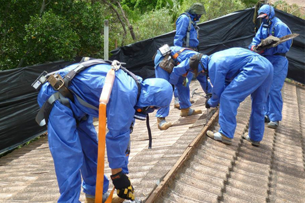 services asbestos