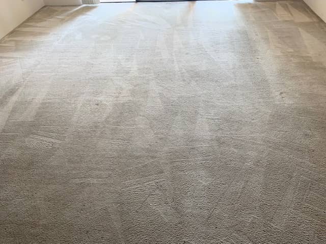 Carpet Cleaning Sydney Pros0